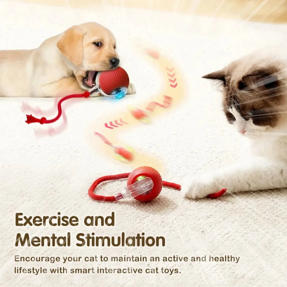 Rechargeable Cat Interactive Ball Toy – Auto Rolling Mouse with Tail"
