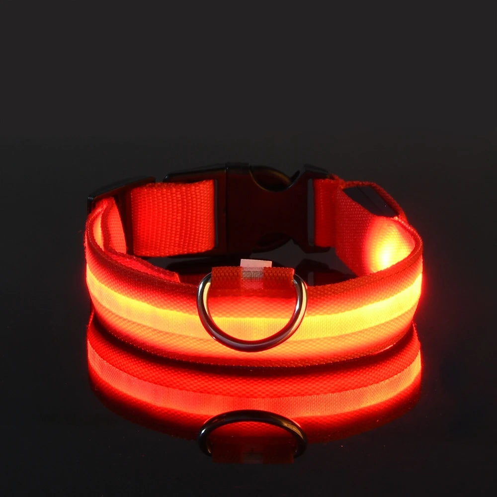 Nylon LED Dog Collar – Night Safety, Glow in the Dark, Luminous & Fluorescent
