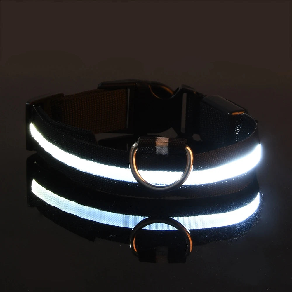 Nylon LED Dog Collar – Night Safety, Glow in the Dark, Luminous & Fluorescent