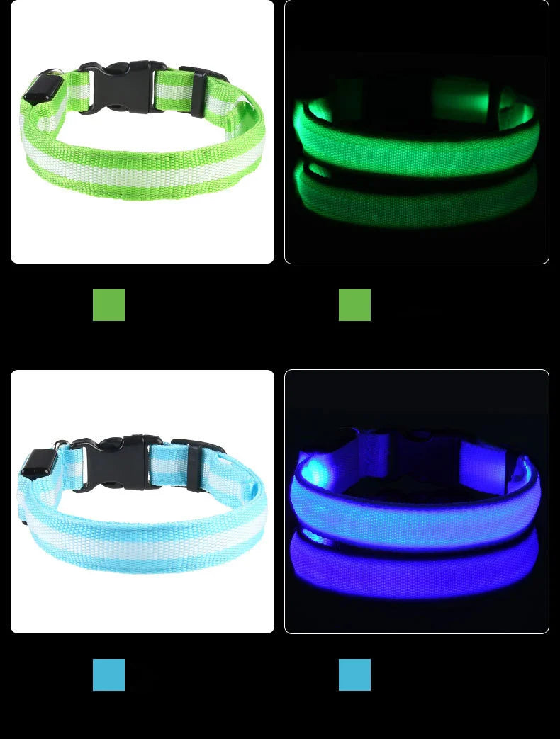 Nylon LED Dog Collar – Night Safety, Glow in the Dark, Luminous & Fluorescent
