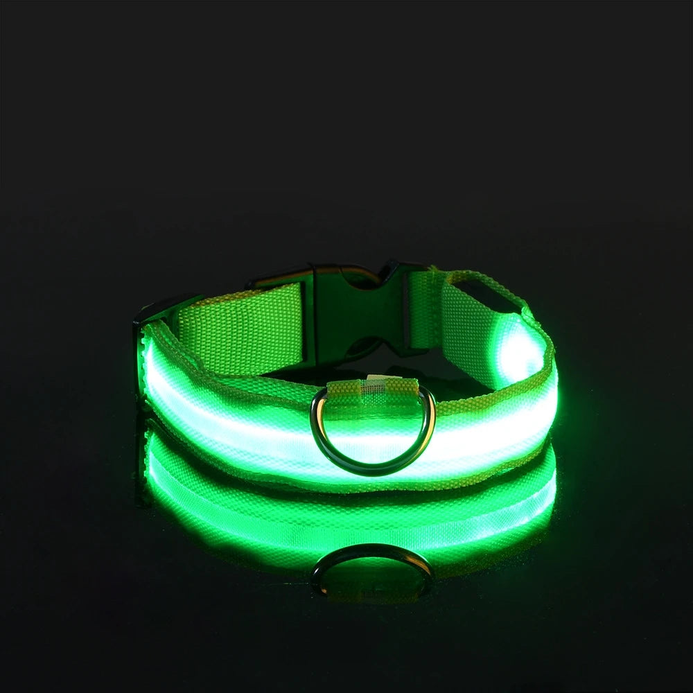 Nylon LED Dog Collar – Night Safety, Glow in the Dark, Luminous & Fluorescent