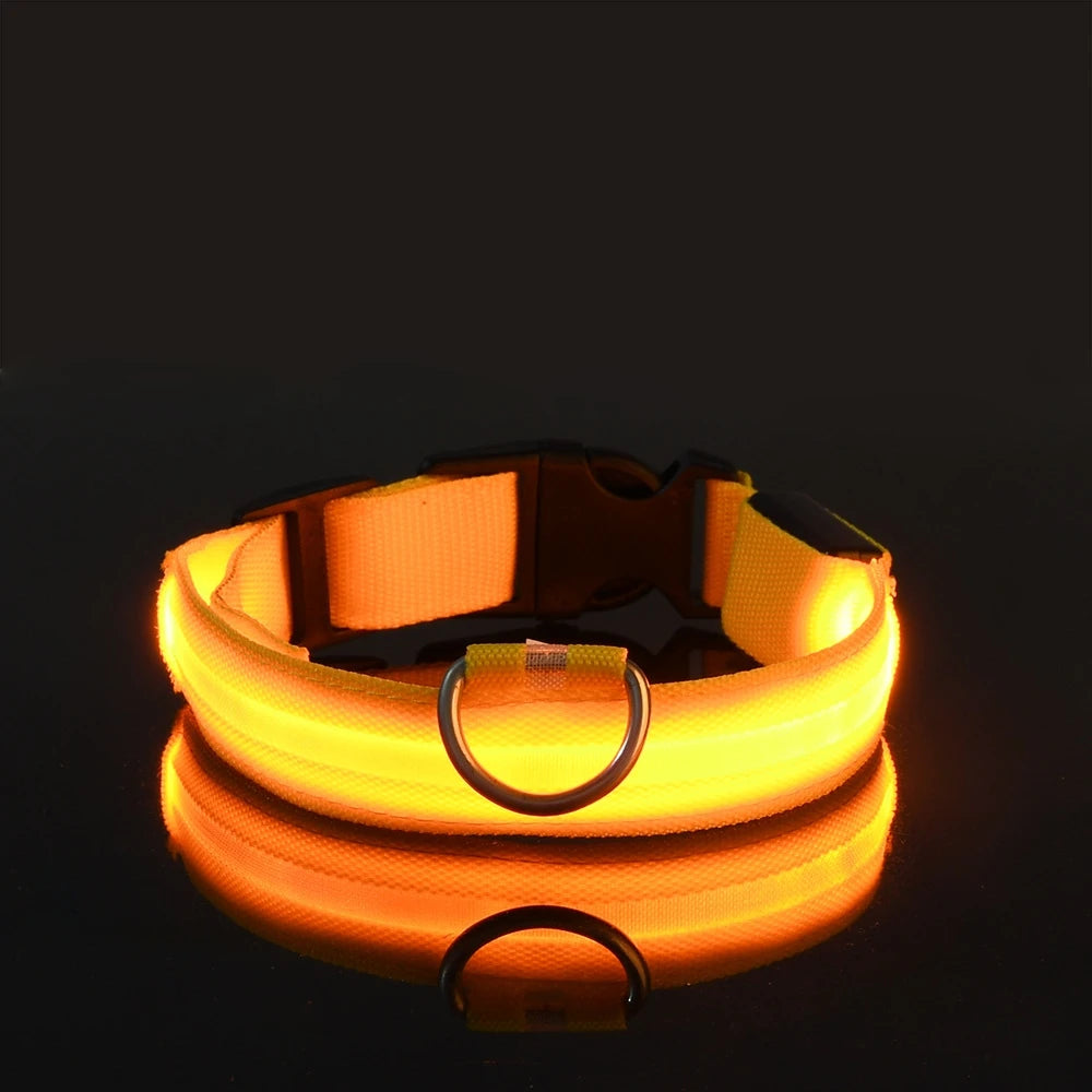 Nylon LED Dog Collar – Night Safety, Glow in the Dark, Luminous & Fluorescent