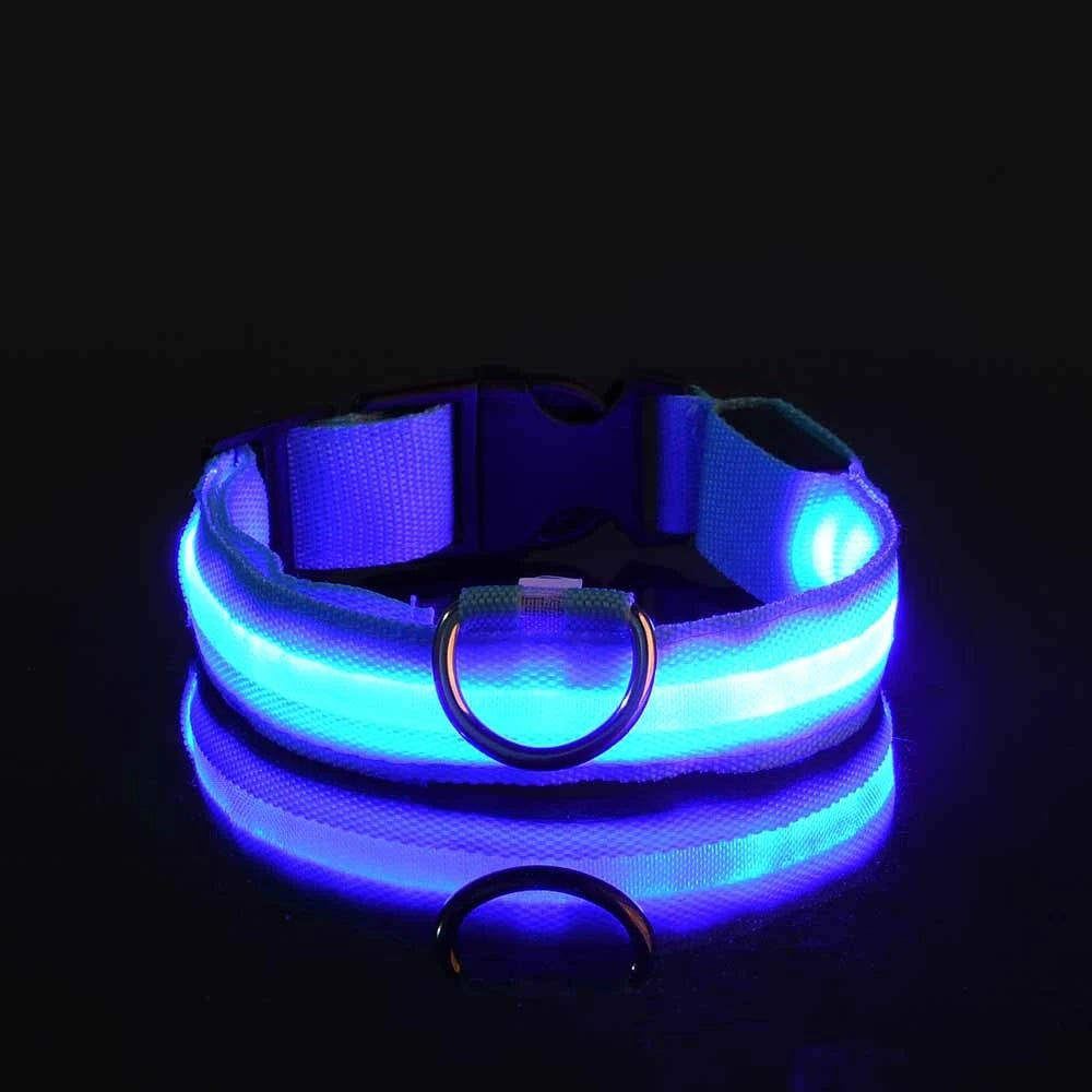 Nylon LED Dog Collar – Night Safety, Glow in the Dark, Luminous & Fluorescent