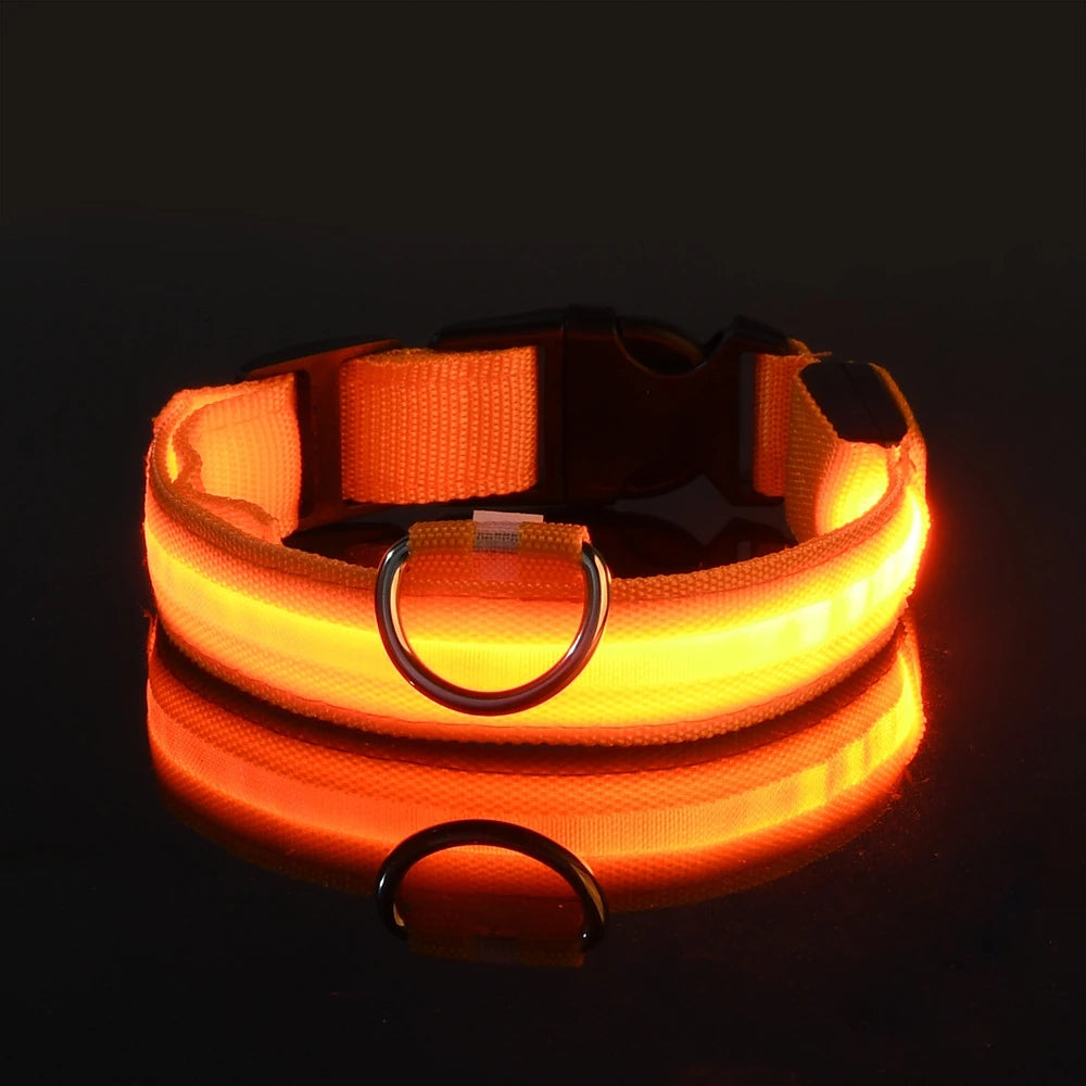 Nylon LED Dog Collar – Night Safety, Glow in the Dark, Luminous & Fluorescent
