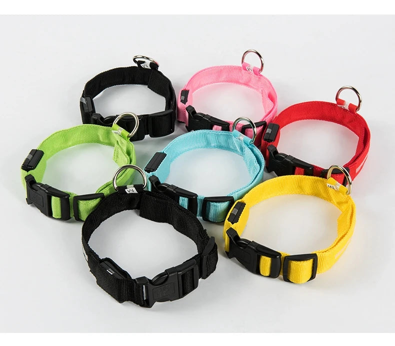 Nylon LED Dog Collar – Night Safety, Glow in the Dark, Luminous & Fluorescent