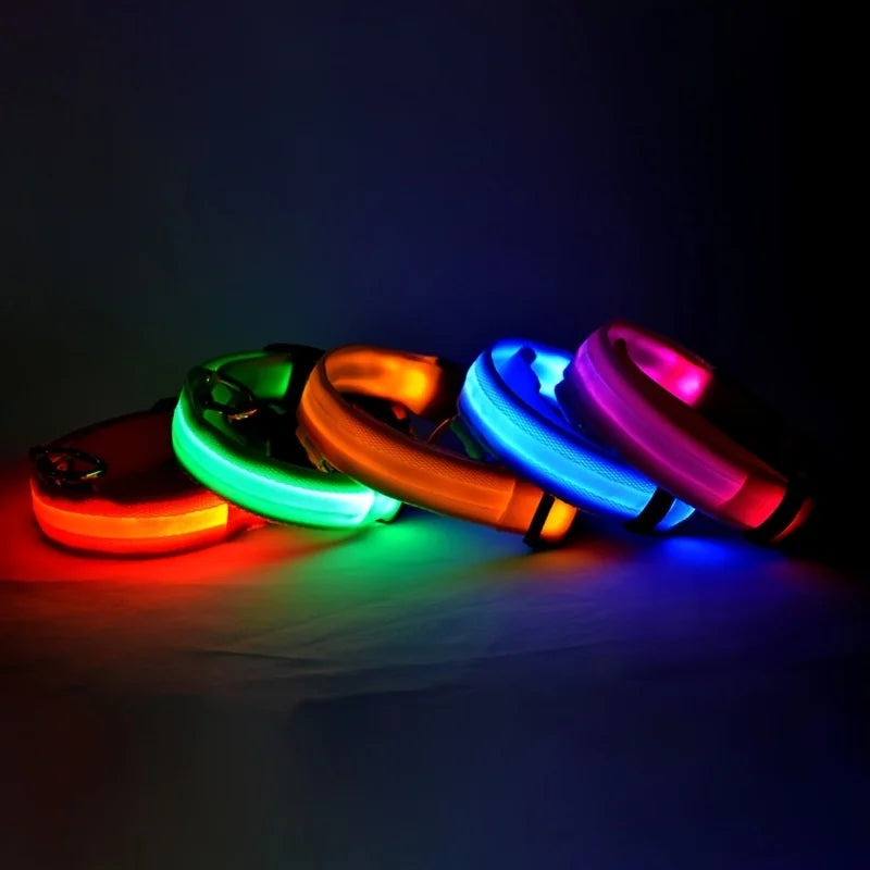 Nylon LED Dog Collar – Night Safety, Glow in the Dark, Luminous & Fluorescent