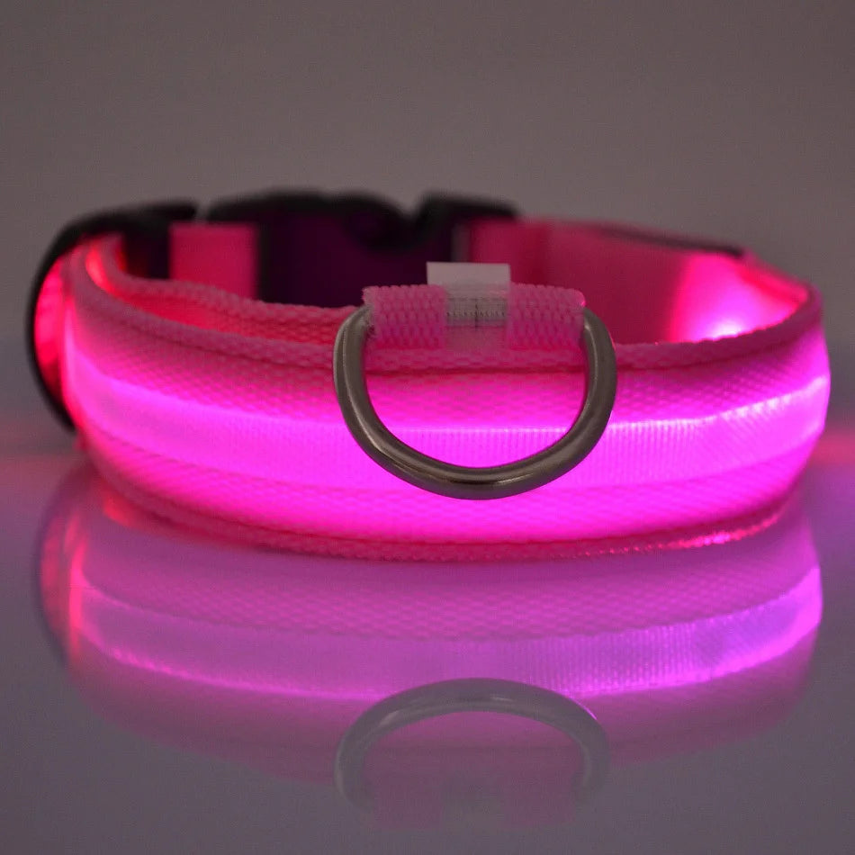 Nylon LED Dog Collar – Night Safety, Glow in the Dark, Luminous & Fluorescent