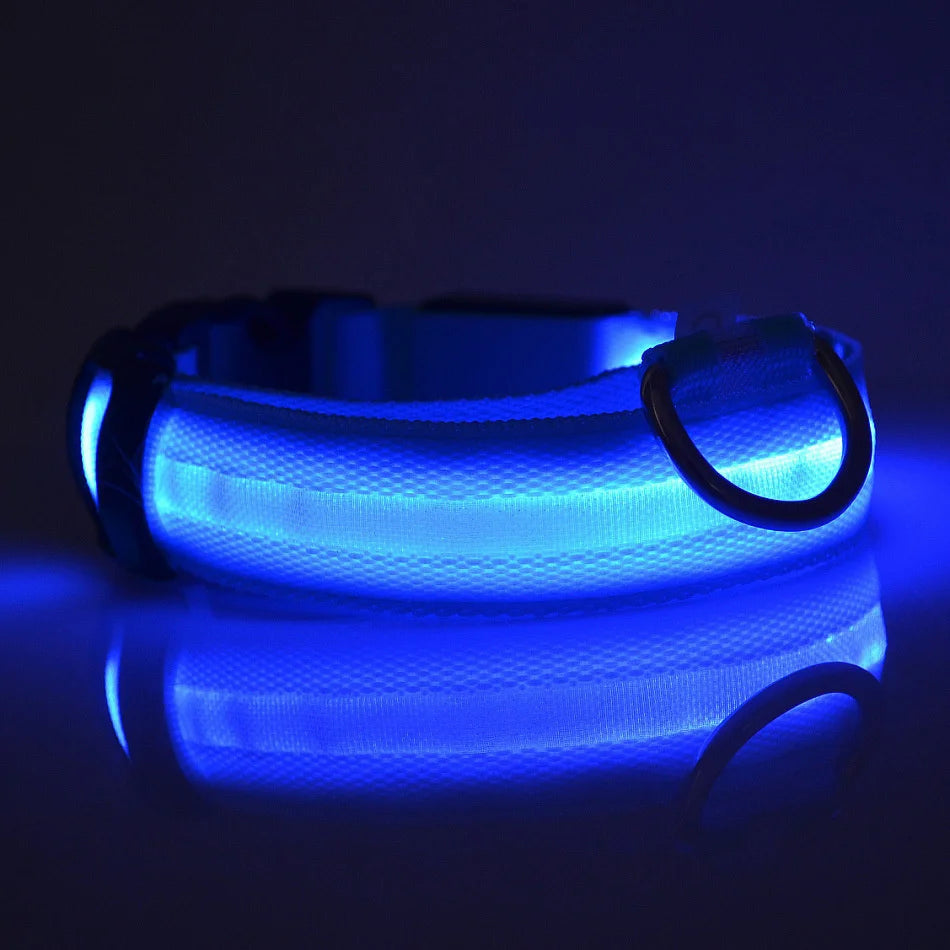 Nylon LED Dog Collar – Night Safety, Glow in the Dark, Luminous & Fluorescent