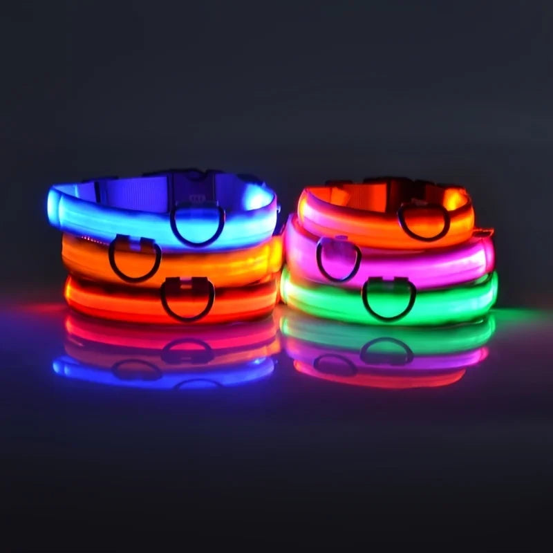 Nylon LED Dog Collar – Night Safety, Glow in the Dark, Luminous & Fluorescent