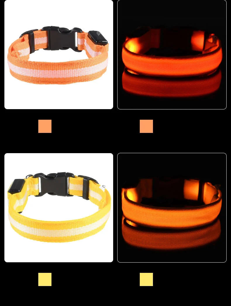 Nylon LED Dog Collar – Night Safety, Glow in the Dark, Luminous & Fluorescent
