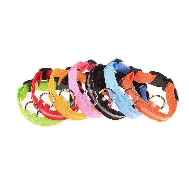 Nylon LED Dog Collar – Night Safety, Glow in the Dark, Luminous & Fluorescent