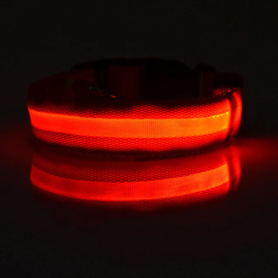 Nylon LED Dog Collar – Night Safety, Glow in the Dark, Luminous & Fluorescent