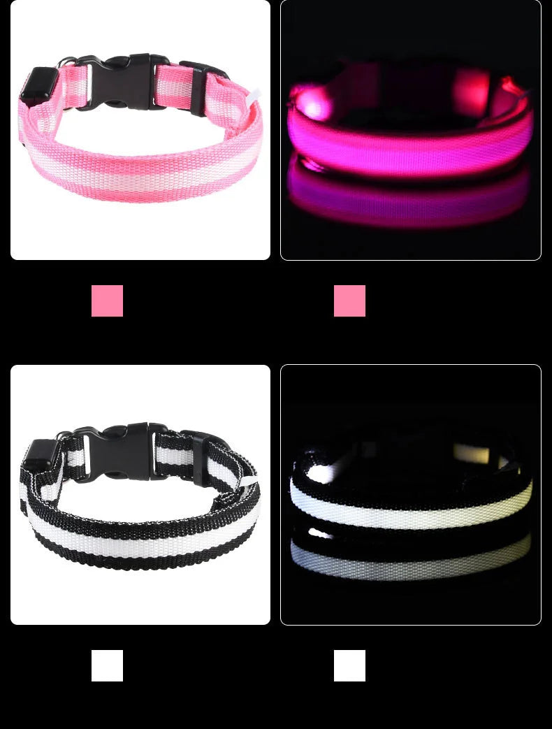 Nylon LED Dog Collar – Night Safety, Glow in the Dark, Luminous & Fluorescent