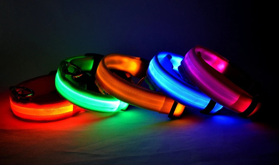 Nylon LED Dog Collar – Night Safety, Glow in the Dark, Luminous & Fluorescent