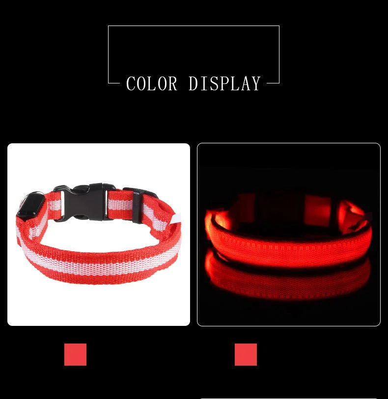 Nylon LED Dog Collar – Night Safety, Glow in the Dark, Luminous & Fluorescent