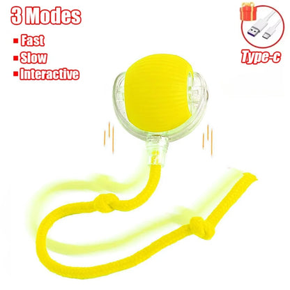 Rechargeable Cat Interactive Ball Toy – Auto Rolling Mouse with Tail"