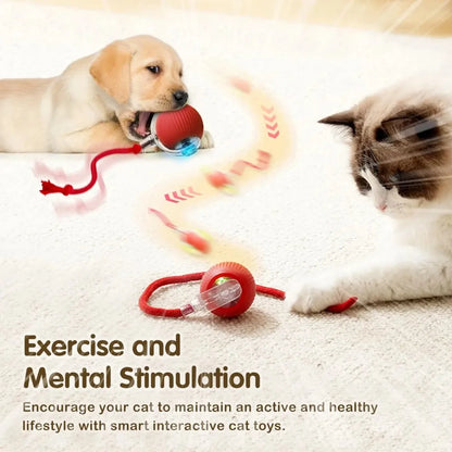 Rechargeable Cat Interactive Ball Toy – Auto Rolling Mouse with Tail"