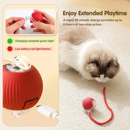 Rechargeable Cat Interactive Ball Toy – Auto Rolling Mouse with Tail"