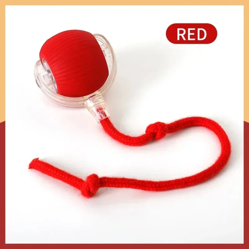 Rechargeable Cat Interactive Ball Toy – Auto Rolling Mouse with Tail"