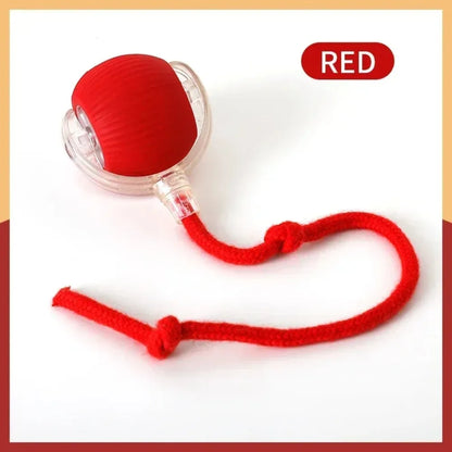 Rechargeable Cat Interactive Ball Toy – Auto Rolling Mouse with Tail"