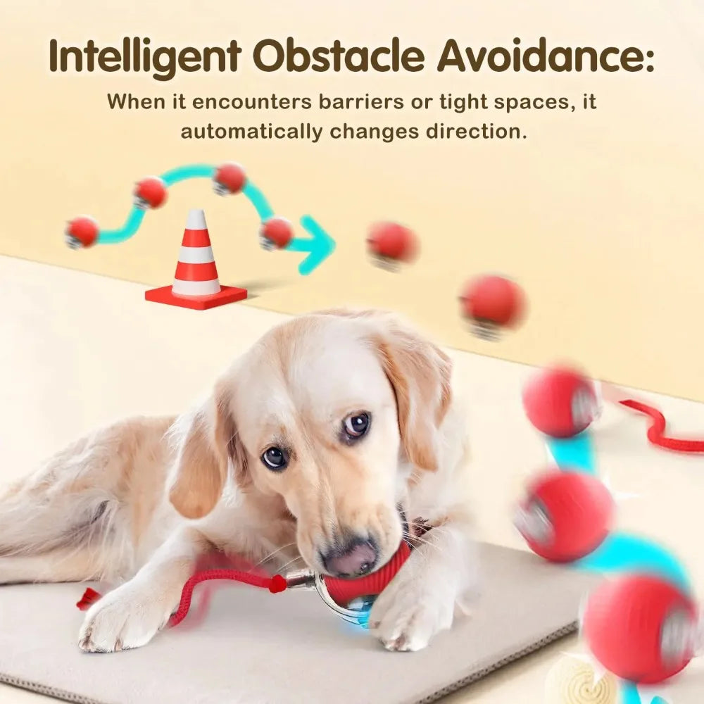 Rechargeable Cat Interactive Ball Toy – Auto Rolling Mouse with Tail"
