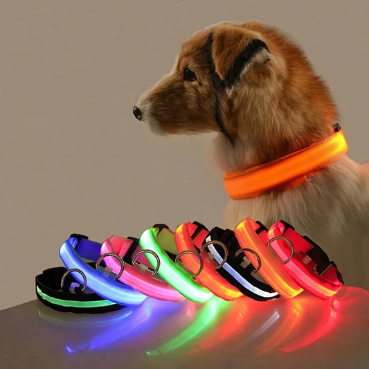 Nylon LED Dog Collar – Night Safety, Glow in the Dark, Luminous & Fluorescent